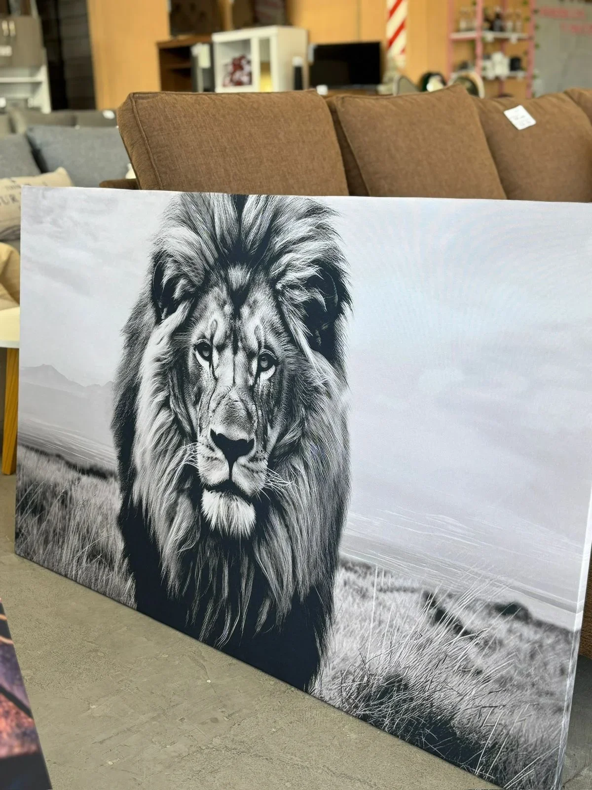 Imagen 10 de Cuadros